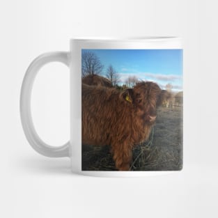 Scottish Highland Cattle Calf 1840 Mug